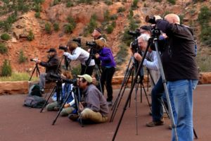 photo workshop in Zion