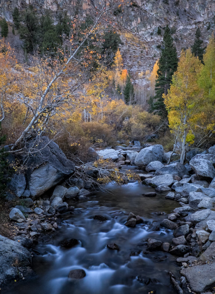 Eastern Sierra Fall Color Jack Graham Photography
