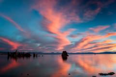 _DSC2215-Edit-Edit-2