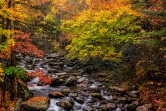SMOKY MT NP 7