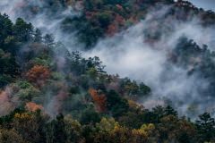 SMOKY MT NP 8