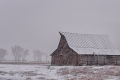 _DSC3241-Edit-Edit-Edit