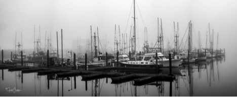 boats in a harbor with light fog