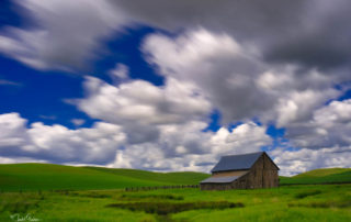 Palouse2019-green fields-dramatic sky