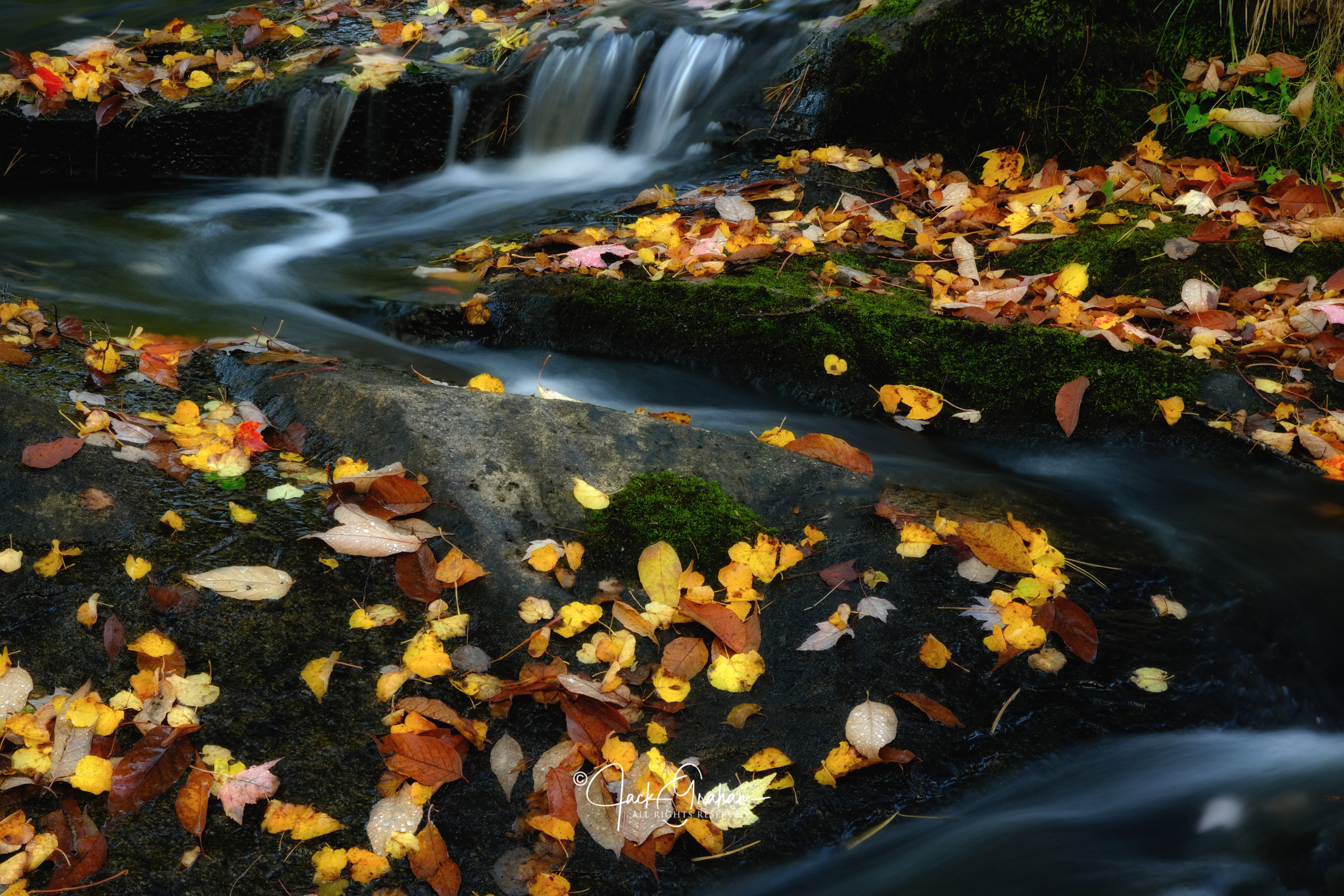 Fall Color Photo Workshop in Acadia National Park, Maine | Jack Graham