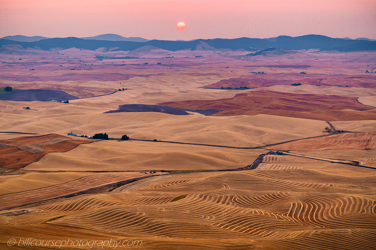 Wheat fields in Palouse during harvest