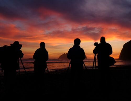 The Photography Workshop “State of the Union”
