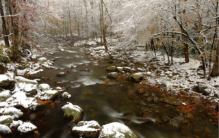 The Great Smoky Mountains in Winter