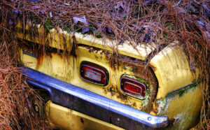 Yellow vega car covered in pine needles in old car city