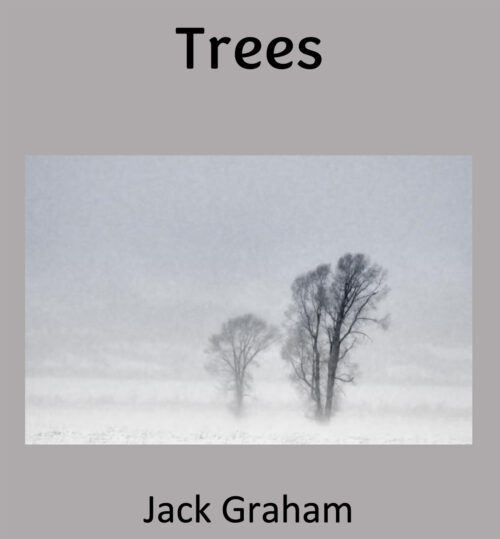 e-book of tree photographs by Jack Graham