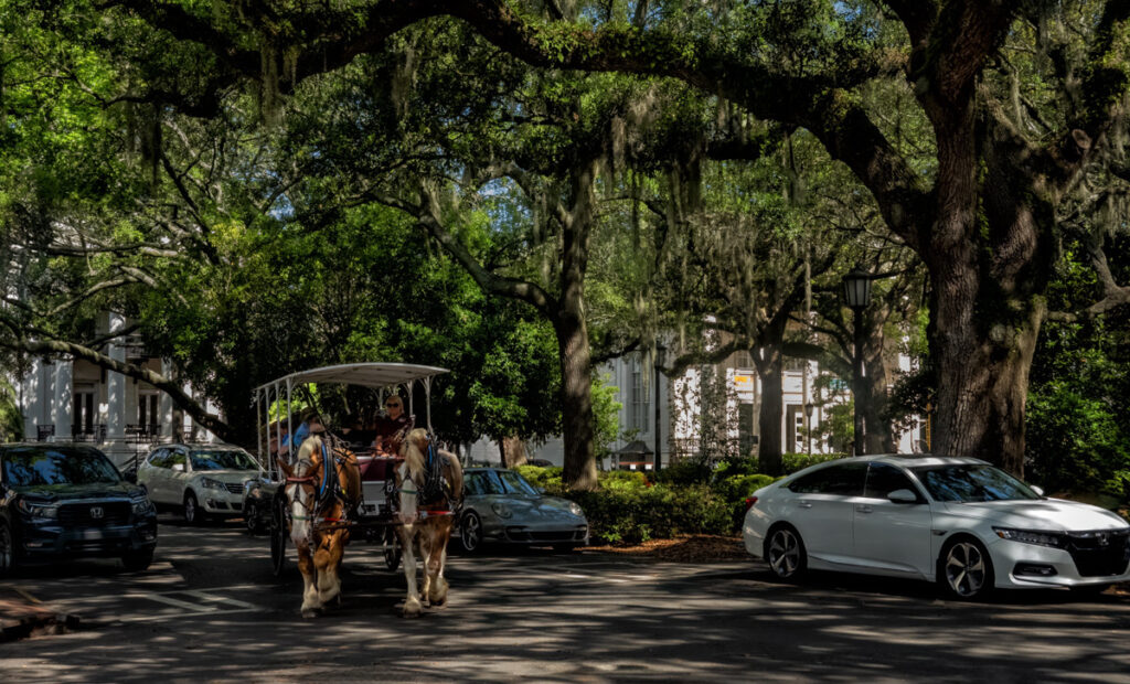 A horse drawn carriage on the streets of Savannah Georgia