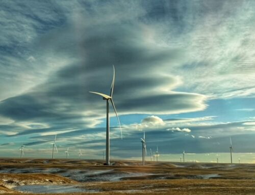 PHOTOGRAPHY and PHOTOGRAPHY WORKSHOP STATE of the UNION 2026